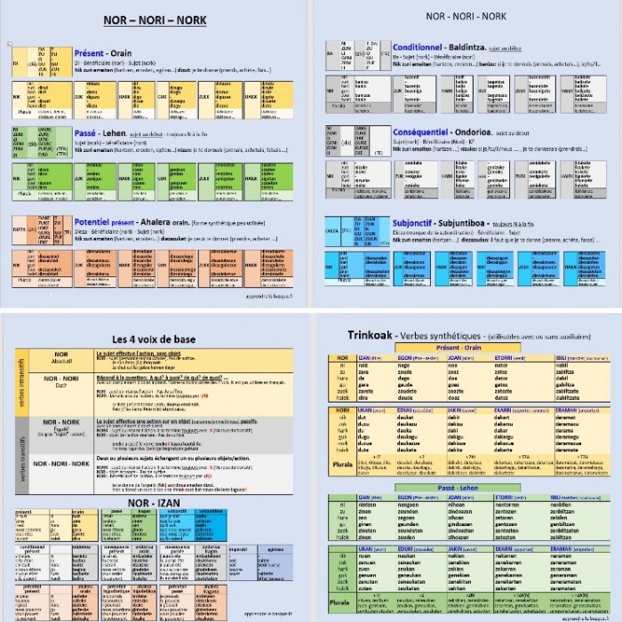 Basque Conjugation conjugaison basque